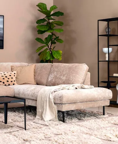 Canapés Sits Ashton