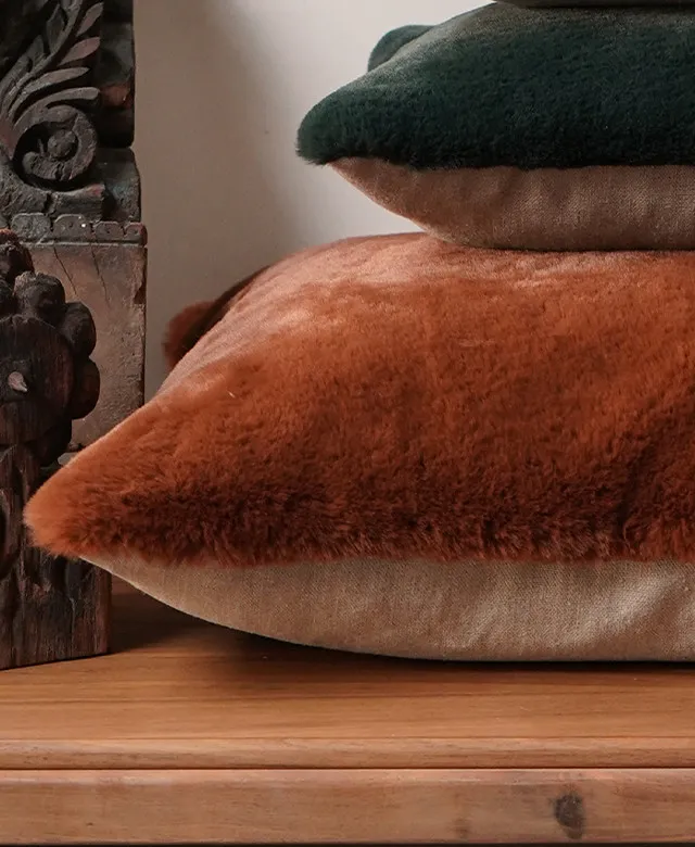 Accessoires Peluche
