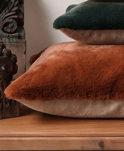 Accessoires Peluche