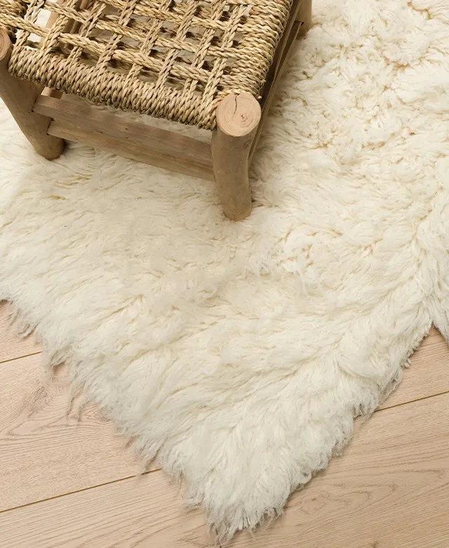Tapis intérieur Kapra
